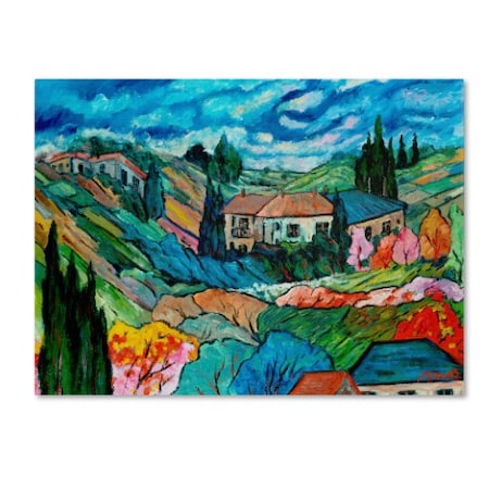 Manor Shadian 'Valley House' Canvas Art,14x19